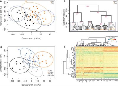 Gene expression signatures and cardiometabolic outcomes following 8-week mango consumption in individuals with overweight/obesity